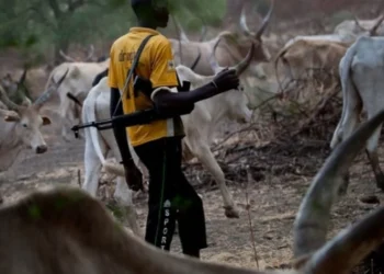 Residents Flee as Suspected Herdsmen Attack Another Community in Benue