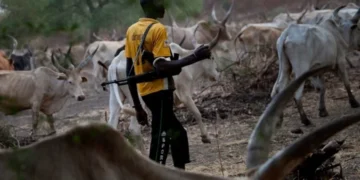 Residents Flee as Suspected Herdsmen Attack Another Community in Benue