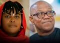 2027 Elections: ‘I Never Blasphemed against Jesus over Peter Obi’ — Mama Pee