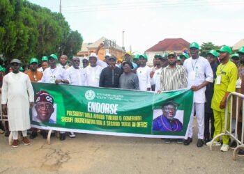 2027: SNYC Endorses Tinubu, Oborevwori for Second Term