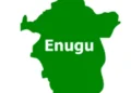Enugu LG Poll: Residents Blame Voter Apathy to Lack of Awareness