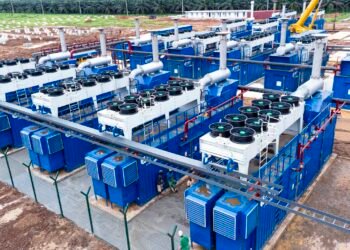 [INSIGHT] Edo Power: Lies Cannot Hide the Truth 