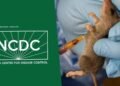 Nigeria Records 263 Lassa Fever Deaths, 1,115 Confirmed Cases Across 24 States